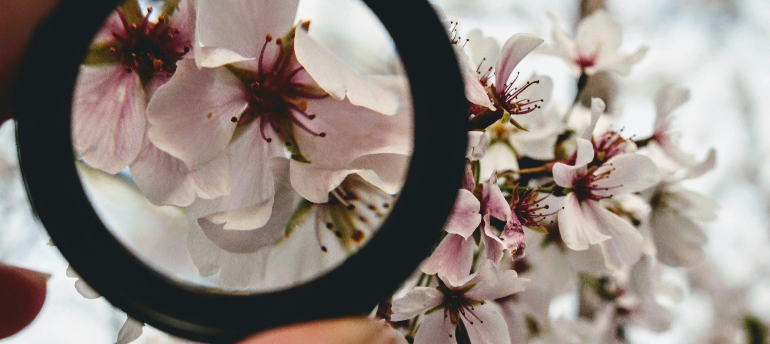 importancia-invertir-calidad2